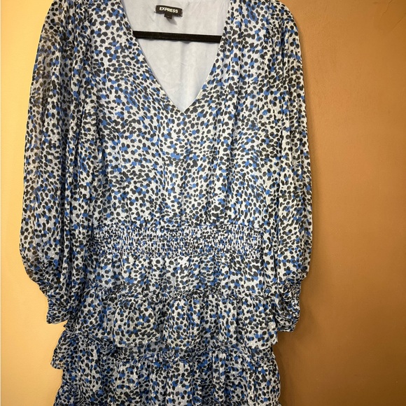 Express Mini Ruffled Dress - Picture 4 of 4